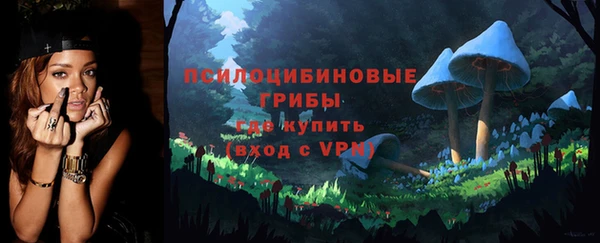 шишки Надым
