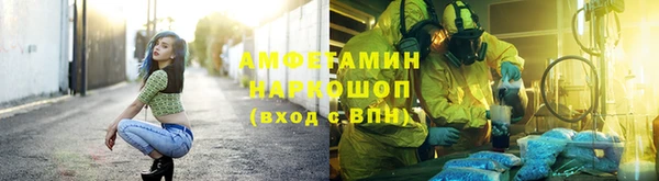 шишки Надым