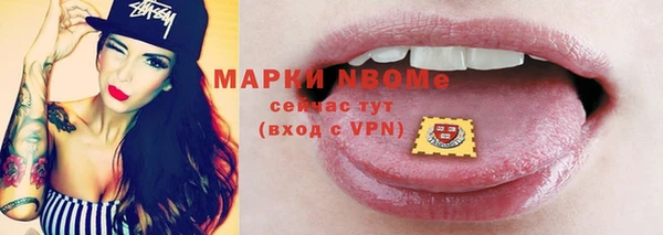 индика Бежецк