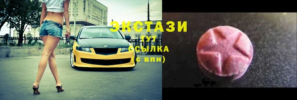 шишки Надым