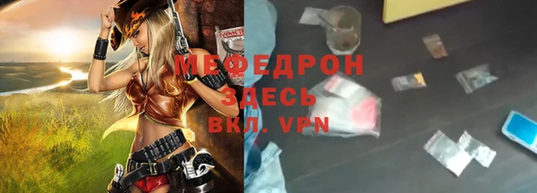 шишки Надым