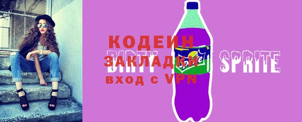 шишки Надым