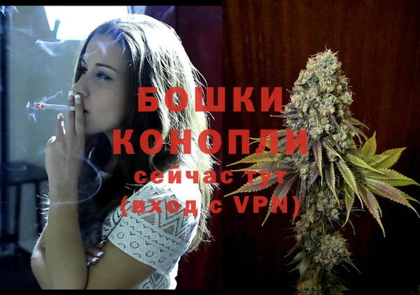шишки Надым
