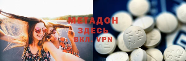 шишки Надым