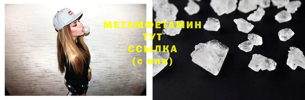 шишки Надым