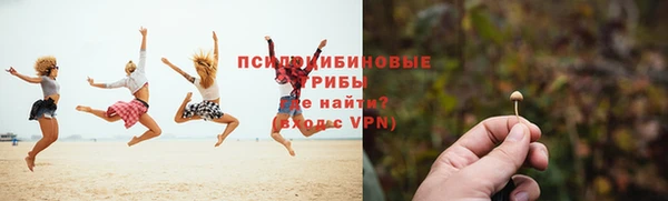 прущий лед Михайлов