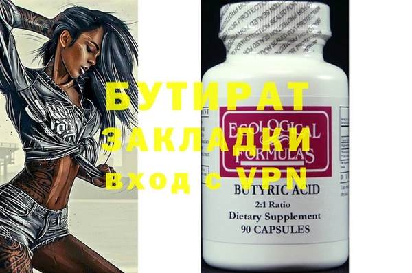 шишки Надым