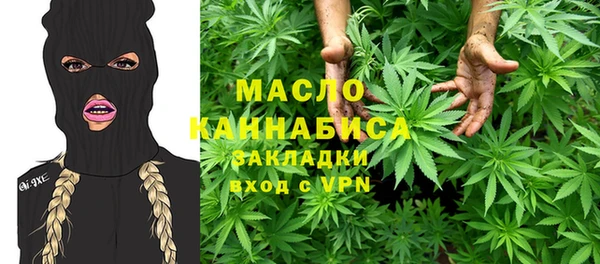 шишки Надым