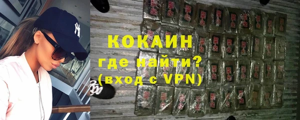 шишки Надым