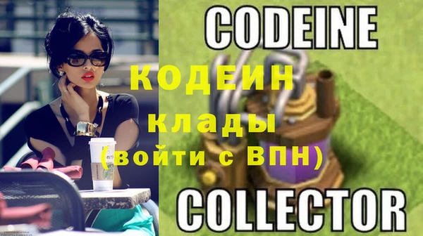шишки Надым