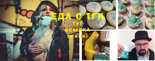 шишки Надым