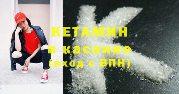 шишки Надым
