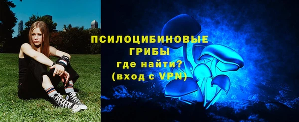 шишки Надым