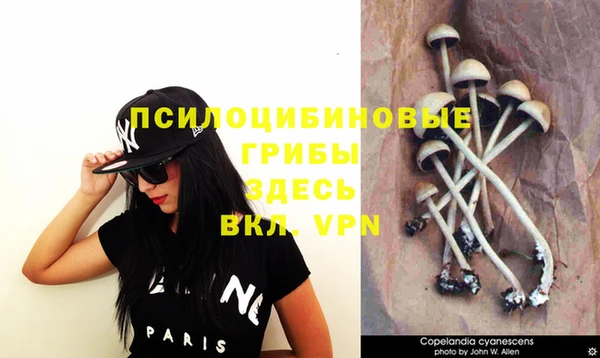 дмт Наволоки