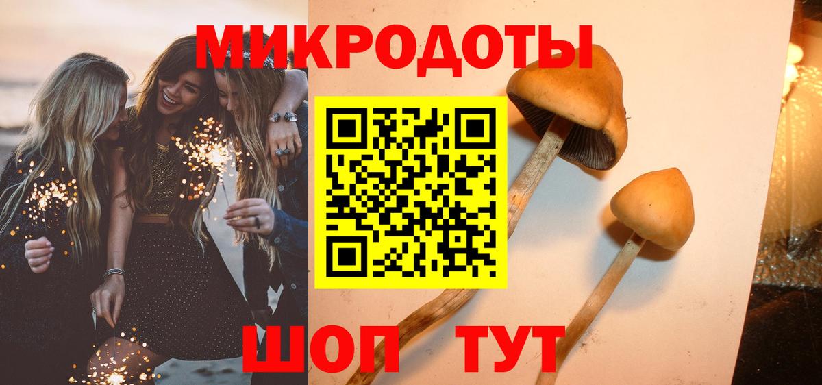 Галлюциногенные грибы MAGIC MUSHROOMS Истра