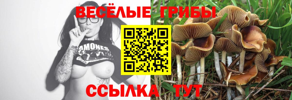 Галлюциногенные грибы Cubensis  Псилоцибиновые грибы MAGIC MUSHROOMS  Истра  Вход с VPN 